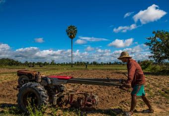 Chansor Community Homestay 4 allows 18 year olds to book a room