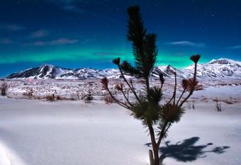 Hotel Laxarbakki has Balcony rooms