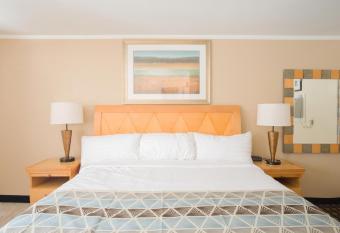 Mount Royal Inn allows 18 year olds to book a room