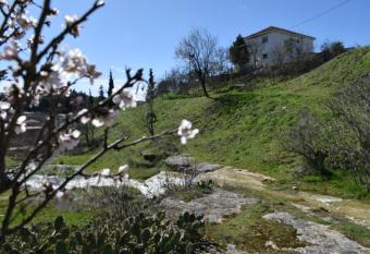 Oasis of Calmness has Balcony rooms
