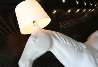 Arboretum Hotel has Balcony rooms