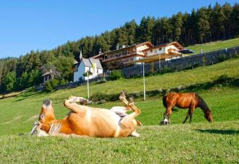 Gasthaus Bad Siess has Balcony rooms