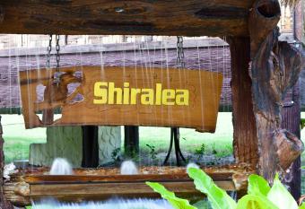 Shiralea Island Resort has Balcony rooms
