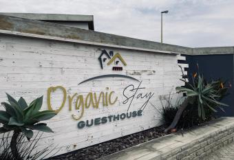 Organic Stay Guesthouse has Balcony rooms