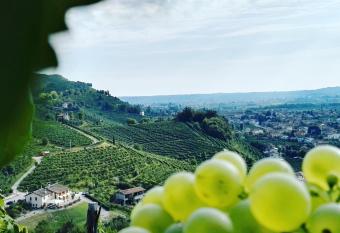Agriturismo Al Credazzo has Balcony rooms