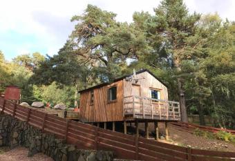 Pine Marten Bar Glenmore Treehouse has Balcony rooms