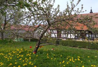 Pension T  pferhof allows 18 year olds to book a room