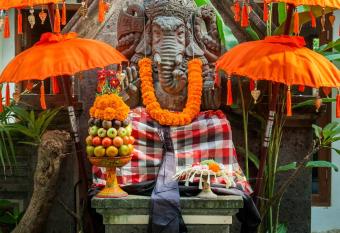 Baruna Sari Villa and Yoga Retreat has rooms with a private hot tub