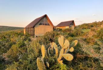 Harmony Luxury Tents & Safari has Balcony rooms