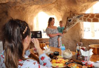 Emirates Park Resort has Balcony rooms