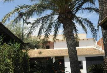 Palm Trees & Sun Bed has Balcony rooms