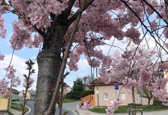 Apartm  ny na Vr  ku has Balcony rooms