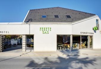 Fekete Sas Motel has Balcony rooms