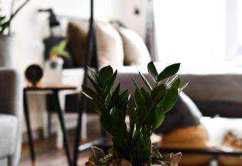 Celta Home allows 18 year olds to book a room