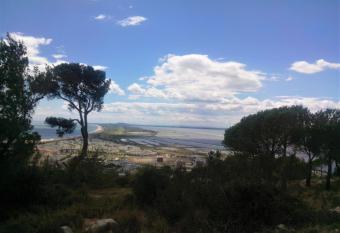Appartement / Jungle has Balcony rooms