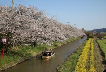 Stay Omihachiman Ekimae Inn has Balcony rooms