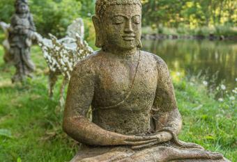 An Oasis In Nature has Balcony rooms