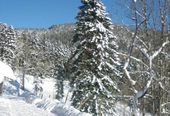 FERME IM-BERG has Balcony rooms