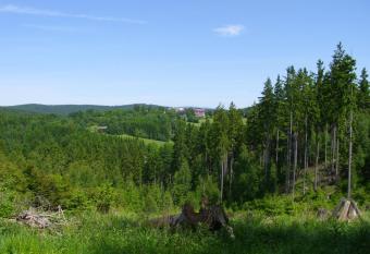 Ferienwohnung  has Balcony rooms
