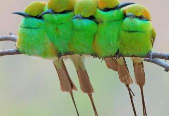 B&B LandLust Guesthouse has Balcony rooms