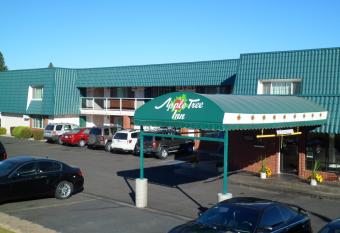 Apple Tree Inn allows 18 year olds to book a room