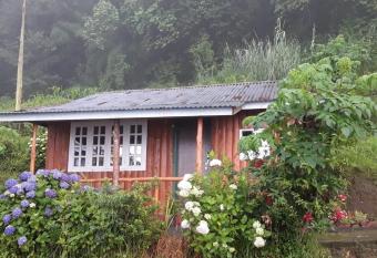 Vamoose Red Panda has Balcony rooms