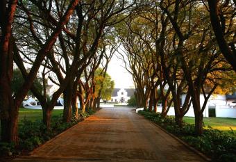 Kievits Kroon Gauteng Wine Estate allows 18 year olds to book a room