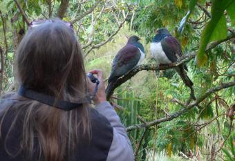 Wharepuke Subtropical Accommodation has Balcony rooms