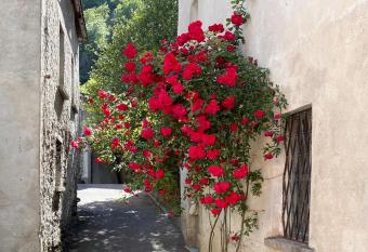 Do-Minus Guesthouse & Mini Spa has Balcony rooms