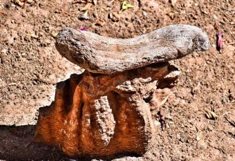 Korakas Beach has Balcony rooms