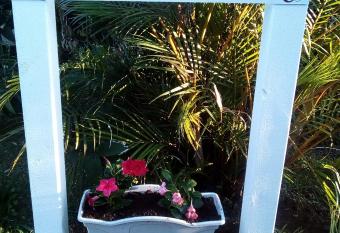 Au fruit delicieux allows 18 year olds to book a room