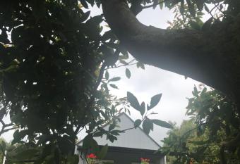 Paradise Grove has Balcony rooms