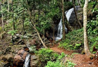 Karadikallu Homestay - Private Waterfalls & Guided Trek has Balcony rooms