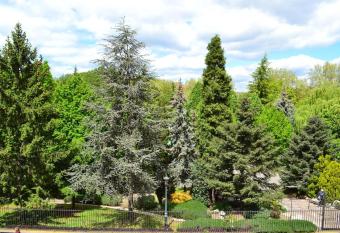 Apartamento en Avenida Quevedo allows 18 year olds to book a room