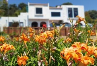 La Casa Te Puru Lodge has Balcony rooms