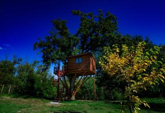 Casa sull albero Bocchineri has Balcony rooms