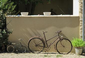 Lou Cardalines allows 18 year olds to book a room