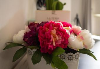 Hotel Scigliano has Balcony rooms