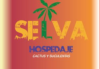 Selva Hospedaje has Balcony rooms