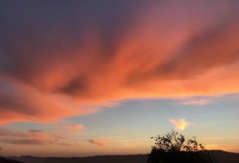 Casa Margot has Balcony rooms