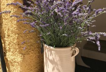 Casa Angela allows 18 year olds to book a room