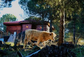 BeLev Odem allows 18 year olds to book a room