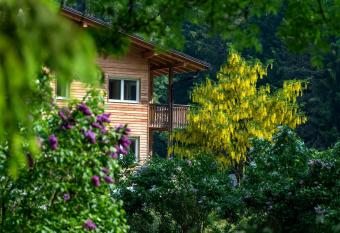 Bad Ratzes has Balcony rooms