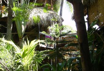 Castillo Oasis has Balcony rooms