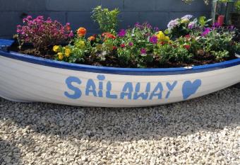 Sailaway has Balcony rooms