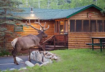 Idlewilde by the River allows 18 year olds to book a room