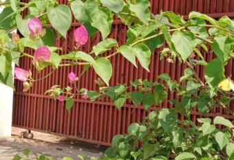 La Maison des Bambous Siem Reap allows 18 year olds to book a room