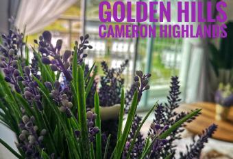 Lavender Apartment 1BR Golden Hills Cameron Highlands allows 18 year olds to book a room