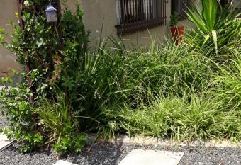 LISAN   ACCOMMODATION allows 18 year olds to book a room