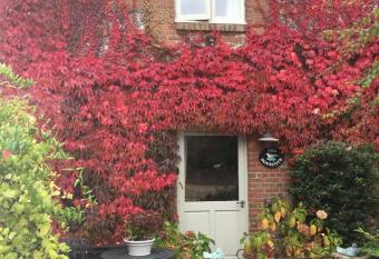 The Dovecote, Stoke Farthing Courtyard has Balcony rooms